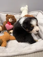 processed/39900e5a-1b92-44b2-849b-dc69e37a1e96/listing/2385d830-3dce-4963-a3c2-2c8dbd9be694/6f84a8f7-1648-4d6d-bcf4-ebe0d3ffc3c8