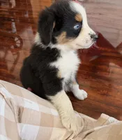 processed/39900e5a-1b92-44b2-849b-dc69e37a1e96/listing/2385d830-3dce-4963-a3c2-2c8dbd9be694/8b4ec336-b9b2-452d-9c53-5258e3d4b6f6