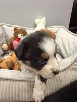 processed/39900e5a-1b92-44b2-849b-dc69e37a1e96/listing/2385d830-3dce-4963-a3c2-2c8dbd9be694/d3ad1b50-becb-419c-bd7c-43bafe4bb292