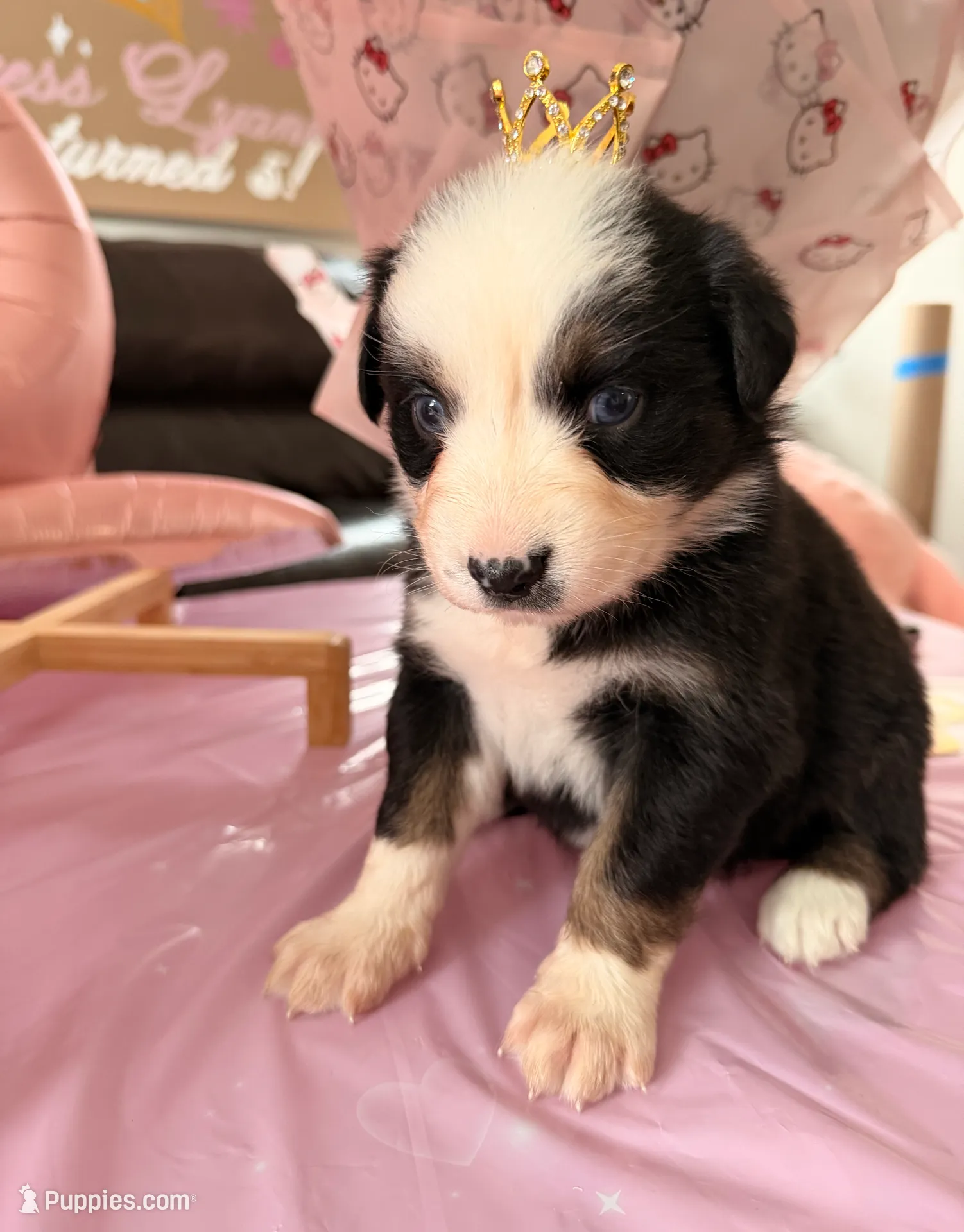 processed/39900e5a-1b92-44b2-849b-dc69e37a1e96/listing/2faba7d5-d552-4b37-afb2-b2c8fb031756/396dbfef-72f1-4e6e-ac58-b9aec69d16fc