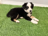 processed/39900e5a-1b92-44b2-849b-dc69e37a1e96/listing/2faba7d5-d552-4b37-afb2-b2c8fb031756/a190167c-cc0a-4800-ad3b-67cd6bd04740