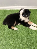 processed/39900e5a-1b92-44b2-849b-dc69e37a1e96/listing/2faba7d5-d552-4b37-afb2-b2c8fb031756/b118ef6a-2ae5-4e63-8660-b8850065e5d2