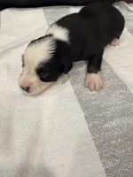 processed/39900e5a-1b92-44b2-849b-dc69e37a1e96/listing/2faba7d5-d552-4b37-afb2-b2c8fb031756/b7e6a40c-e64c-4d03-a98b-891f33faa65a