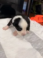 processed/39900e5a-1b92-44b2-849b-dc69e37a1e96/listing/2faba7d5-d552-4b37-afb2-b2c8fb031756/efca4bc0-354d-45f8-a578-e685ff41023e