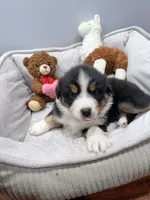 processed/39900e5a-1b92-44b2-849b-dc69e37a1e96/listing/ebaffce1-6852-43d0-b681-8f83aa2cd7d8/3143ace8-76b8-4c9b-a134-705315321ce8