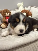 processed/39900e5a-1b92-44b2-849b-dc69e37a1e96/listing/ebaffce1-6852-43d0-b681-8f83aa2cd7d8/37109d56-826e-4af4-8ea4-62022cb9e1fd