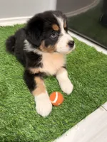 processed/39900e5a-1b92-44b2-849b-dc69e37a1e96/listing/ebaffce1-6852-43d0-b681-8f83aa2cd7d8/b358e720-70ae-40c5-b4d2-63f5c97c5fbc