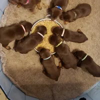 processed/3993db5a-ce01-4879-8713-0a2706455334/facility/6e00a2b2-13b6-4670-9493-ee30dd24d47c