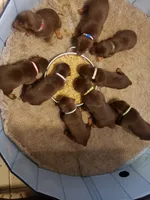 processed/3993db5a-ce01-4879-8713-0a2706455334/facility/6e00a2b2-13b6-4670-9493-ee30dd24d47c