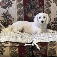 processed/39a05c3e-d350-4b4a-aad4-68ce86c8a148/facility/22225e3b-f13e-4197-a469-2f3244bcfbc6