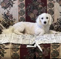 processed/39a05c3e-d350-4b4a-aad4-68ce86c8a148/facility/22225e3b-f13e-4197-a469-2f3244bcfbc6