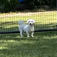 processed/39a05c3e-d350-4b4a-aad4-68ce86c8a148/facility/46189923-d5f3-4e4f-84f9-1c17e49d68ab