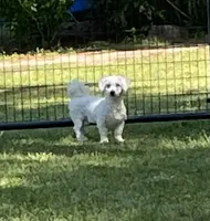 processed/39a05c3e-d350-4b4a-aad4-68ce86c8a148/facility/46189923-d5f3-4e4f-84f9-1c17e49d68ab