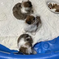 processed/39a05c3e-d350-4b4a-aad4-68ce86c8a148/facility/4ca7a27c-e5ef-4056-9cfb-f36dba6ee3d3