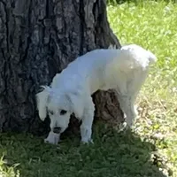 processed/39a05c3e-d350-4b4a-aad4-68ce86c8a148/facility/4dd78ed4-1a52-4e86-be66-64b2a56051a3