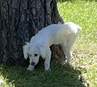 processed/39a05c3e-d350-4b4a-aad4-68ce86c8a148/facility/4dd78ed4-1a52-4e86-be66-64b2a56051a3