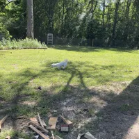 processed/39a05c3e-d350-4b4a-aad4-68ce86c8a148/facility/5096a6b4-080a-46df-9406-7f9f02505095