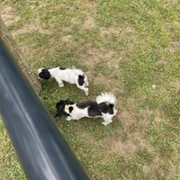 processed/39a05c3e-d350-4b4a-aad4-68ce86c8a148/facility/579461d7-8ec6-4446-baf1-9a2f1ebc14e6