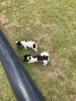 processed/39a05c3e-d350-4b4a-aad4-68ce86c8a148/facility/579461d7-8ec6-4446-baf1-9a2f1ebc14e6