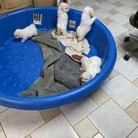 processed/39a05c3e-d350-4b4a-aad4-68ce86c8a148/facility/6a583d32-006f-4d15-a6da-dd43562905e3