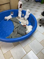 processed/39a05c3e-d350-4b4a-aad4-68ce86c8a148/facility/6a583d32-006f-4d15-a6da-dd43562905e3