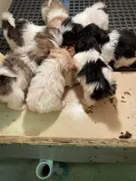 processed/39a05c3e-d350-4b4a-aad4-68ce86c8a148/facility/ce3be56d-611a-46ae-9d97-629339972d9e