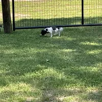 processed/39a05c3e-d350-4b4a-aad4-68ce86c8a148/facility/e38201d9-d97e-4ede-b616-e720817ca8d6