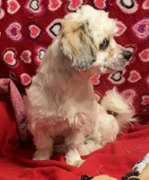 processed/39a05c3e-d350-4b4a-aad4-68ce86c8a148/listing/07ae54a5-7dfa-4169-9ffc-2a40822900dd/3189dae5-954c-4ce9-ac26-89de667771db