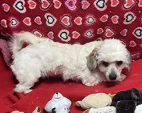 processed/39a05c3e-d350-4b4a-aad4-68ce86c8a148/listing/07ae54a5-7dfa-4169-9ffc-2a40822900dd/670e5a5c-9f24-48d6-88ff-2bbaf374b2b6