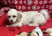 processed/39a05c3e-d350-4b4a-aad4-68ce86c8a148/listing/07ae54a5-7dfa-4169-9ffc-2a40822900dd/7577a0be-48fc-4bbd-9d47-3ec21d58f243