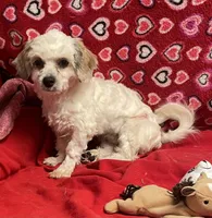 processed/39a05c3e-d350-4b4a-aad4-68ce86c8a148/listing/07ae54a5-7dfa-4169-9ffc-2a40822900dd/8d306a9f-7d99-45fd-bfc8-07a997fd183e