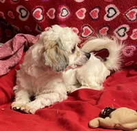 processed/39a05c3e-d350-4b4a-aad4-68ce86c8a148/listing/07ae54a5-7dfa-4169-9ffc-2a40822900dd/a4f285a6-6b07-41da-8ebc-c86e2d8a55f9