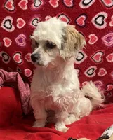 processed/39a05c3e-d350-4b4a-aad4-68ce86c8a148/listing/07ae54a5-7dfa-4169-9ffc-2a40822900dd/c27fbcc3-53ac-45f2-87ad-39c4aef25fe5