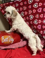 processed/39a05c3e-d350-4b4a-aad4-68ce86c8a148/listing/07ae54a5-7dfa-4169-9ffc-2a40822900dd/fa918930-753c-4e32-8550-257f2660f9d3