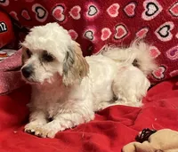 processed/39a05c3e-d350-4b4a-aad4-68ce86c8a148/listing/07ae54a5-7dfa-4169-9ffc-2a40822900dd/fe648883-0cc6-4dec-9ff9-2086a90687a2