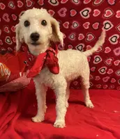 processed/39a05c3e-d350-4b4a-aad4-68ce86c8a148/listing/185993da-a575-4bb1-a179-5d372be36b12/0377fb89-a62b-462d-af8d-a668936c9844