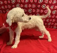 processed/39a05c3e-d350-4b4a-aad4-68ce86c8a148/listing/185993da-a575-4bb1-a179-5d372be36b12/3f9453e2-248c-4cc9-8928-60d64f09e552