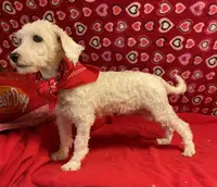 processed/39a05c3e-d350-4b4a-aad4-68ce86c8a148/listing/185993da-a575-4bb1-a179-5d372be36b12/48364d96-40a1-48b2-8cf9-fb6eb6245fae