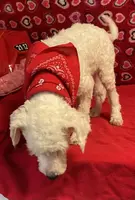 processed/39a05c3e-d350-4b4a-aad4-68ce86c8a148/listing/185993da-a575-4bb1-a179-5d372be36b12/7a0ef1f6-91b9-4e2e-aa47-d451f691fd47