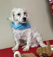 processed/39a05c3e-d350-4b4a-aad4-68ce86c8a148/listing/3afb9257-fbff-49b1-b093-d2d7c170cb68/0b678ebe-a0b0-4eb6-aefe-ee89e0d9dc64