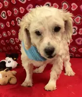 processed/39a05c3e-d350-4b4a-aad4-68ce86c8a148/listing/3afb9257-fbff-49b1-b093-d2d7c170cb68/10136d9e-f404-4bf4-bfe5-cbcbb28f6b8c