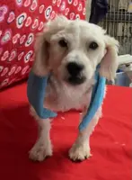 processed/39a05c3e-d350-4b4a-aad4-68ce86c8a148/listing/3afb9257-fbff-49b1-b093-d2d7c170cb68/18bcaf7c-feaf-4ed3-9edd-9f77114427a3