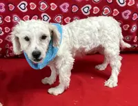 processed/39a05c3e-d350-4b4a-aad4-68ce86c8a148/listing/3afb9257-fbff-49b1-b093-d2d7c170cb68/7199fa25-dca0-4dbf-be5c-b0a26ae3bfcf