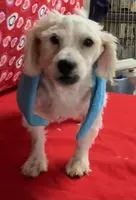 processed/39a05c3e-d350-4b4a-aad4-68ce86c8a148/listing/3afb9257-fbff-49b1-b093-d2d7c170cb68/fb6e24b5-c317-4530-a455-2600fe8f5f0b