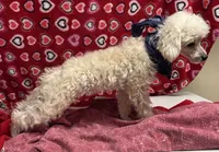 processed/39a05c3e-d350-4b4a-aad4-68ce86c8a148/listing/738cdc35-b3ad-4cd8-aace-75691551b3e7/3f96416d-9d25-45e9-a39e-30249142f795