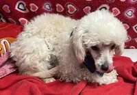 processed/39a05c3e-d350-4b4a-aad4-68ce86c8a148/listing/738cdc35-b3ad-4cd8-aace-75691551b3e7/91cbe5de-4679-44fe-8b29-7c30f67bb6f8