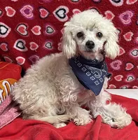 processed/39a05c3e-d350-4b4a-aad4-68ce86c8a148/listing/738cdc35-b3ad-4cd8-aace-75691551b3e7/a060e528-98d9-4ab6-a954-29f853a37b90