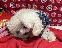 processed/39a05c3e-d350-4b4a-aad4-68ce86c8a148/listing/738cdc35-b3ad-4cd8-aace-75691551b3e7/aa2307ee-4a76-48f8-9370-c382980ff957