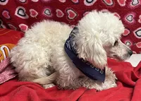 processed/39a05c3e-d350-4b4a-aad4-68ce86c8a148/listing/738cdc35-b3ad-4cd8-aace-75691551b3e7/de1b09cb-38a3-4577-905a-005339a3ce51