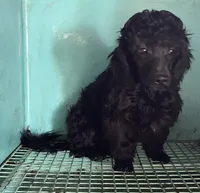 processed/39a05c3e-d350-4b4a-aad4-68ce86c8a148/listing/7f1b4561-807b-4735-bf39-1eaefd5d37a6/051d58da-fbe2-4051-a958-8339ba53ca01